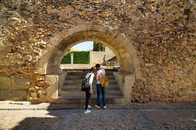 Segovia and Avila Guided Tour and Flamenco Show in Madrid - Authentic Insights from Reviews