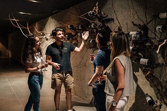 Segovia & Ribera del Duero Winery with Wine Tasting from Madrid - Analyzing the Value