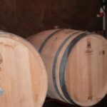 Segovia: Winery Tour with Wine Tasting - Who Should Book This Tour?