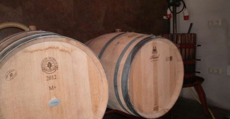 Segovia: Winery Tour with Wine Tasting - Who Should Book This Tour?