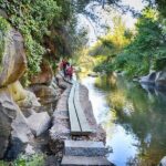 Segovia with Alcazar Guided Tour by High-Speed Train from Madrid - Authentic Guest Experiences