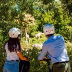 Segway Tour by ComhiC - Tête d'Or Park - 2h - The Value of a Lyon Segway Tour