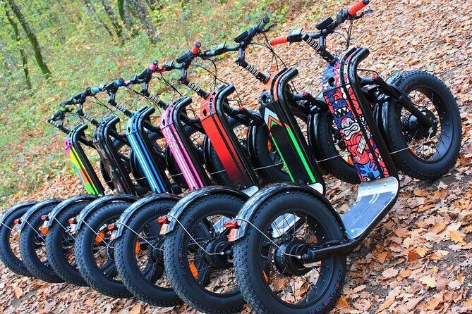 Seignosse electric scooter excursion - Who Will Love This Experience?