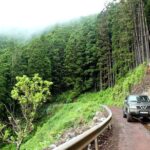 Seize your day in São Miguel with a 4x4 private tour - Exploring São Miguel in a 4x4: The Nuts and Bolts