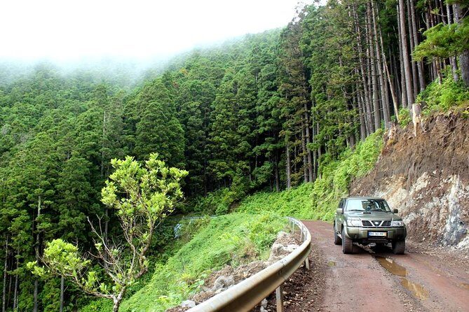 Seize your day in São Miguel with a 4x4 private tour - Exploring São Miguel in a 4x4: The Nuts and Bolts