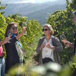 Selection Tasting | Quinta de Santa Cristina Vinho Verde - The Experience from the Reviews