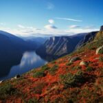 Self-Guided Full Day Round-trip From Bergen - Who Would Love This Tour?