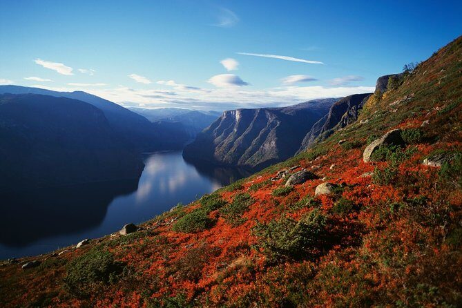 Self-Guided Full Day Round-trip From Bergen - Who Would Love This Tour?