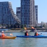 Self-guided kayak tour in Belgrade - What to Expect During the Tour