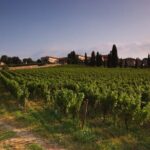 Self-guided Wine tour in Franciacorta, Full-Day Experience with Lunch - The Sum Up: Is It Worth It?