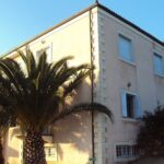 Semi- Private Olive Grove and Dragon Fruit Farm with Tastings - Transport and Logistics