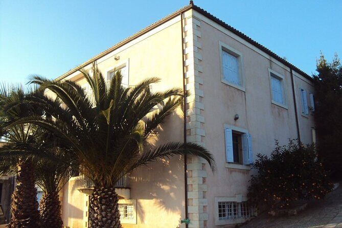 Semi- Private Olive Grove and Dragon Fruit Farm with Tastings - Transport and Logistics