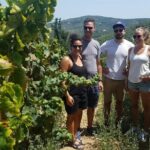 Semi-Private Wine Discovery Tour in Chania - Final Thoughts