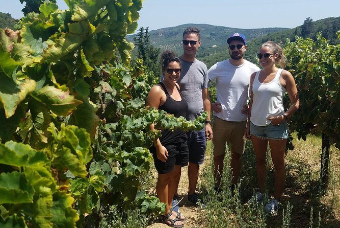Semi-Private Wine Discovery Tour in Chania - Final Thoughts