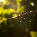 Semi Private Wine Tour of 2 wineries with Transfer and Lunch - Who Should Consider This Tour?