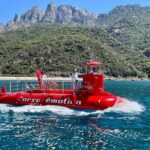 Semi-submarine: visit to the seabed of Porto Bay - Who Is This Tour Best For?