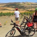 Sensational Setenil by e-bike (full day) - Who Should Consider This Tour?