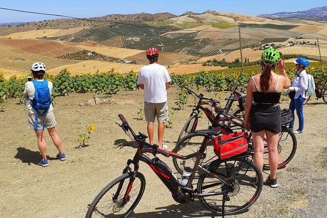 Sensational Setenil by e-bike (full day) - Who Should Consider This Tour?