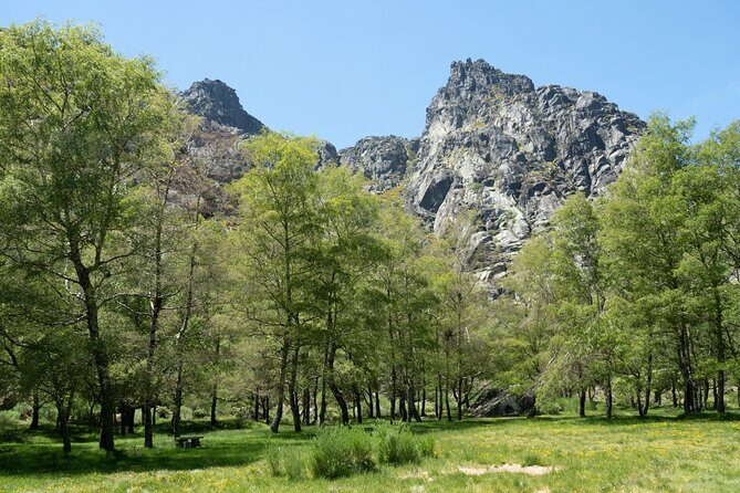 SERRA DA ESTRELA - Excursão com degustação de queijo da serra - Pricing and Value for Money