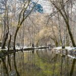 Serra da Estrela - Full Day Private Tour - Who Should Consider This Tour?