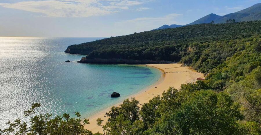 Sesimbra e Arrábida Natural Park: 1 Day Tour & Wine Tasting - Authentic Insights from Reviewers
