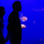 Seville Aquarium Admission Ticket - Who Would Love This Experience?
