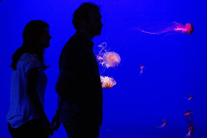Seville Aquarium Admission Ticket - Who Would Love This Experience?