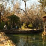 Seville Bike Tour Following the Guadalquivir River - Final Thoughts