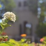 Seville Cartuja Monastery private visit - Who Will Enjoy This Tour?
