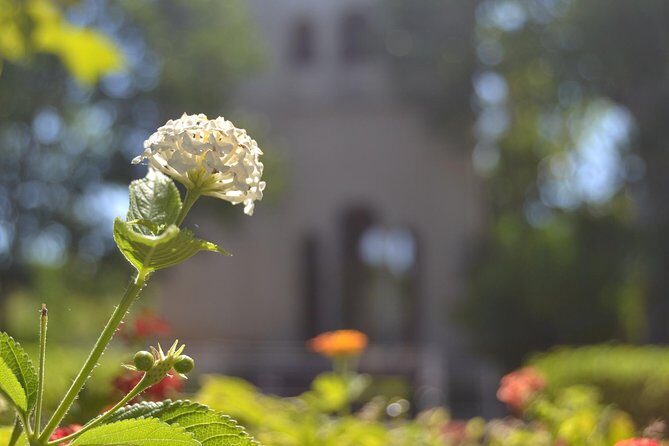 Seville Cartuja Monastery private visit - Who Will Enjoy This Tour?