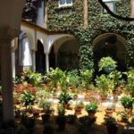 Seville Half-Day Walking Tour - An In-Depth Breakdown of the Itinerary