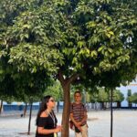 Seville Highlights Private Walking Tour - The Sum Up