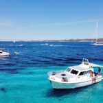 Shared boat tour, with free lunch and drinks - The Food and Drinks: A Sardinian Feast