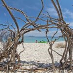 Shared Day Trip from Kefalonia around Ithaca island - Exploring the Itinerary in Detail