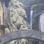 Shared Subacco Lake Como Boat Tour for 3 Hours - An In-Depth Look at the Lake Como Boat Tour