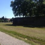 shore excursion from Livorno to Pisa and Lucca - Who Should Book This Tour?