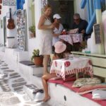 Shore Excursion Private - The Itinerary in Detail