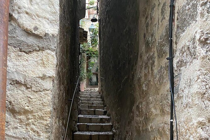 Shore Excursion Private Tour from Cannes - Who This Tour Is Best For