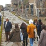 Shore excursion Vesuvius and Pompeii site. - Why This Tour Offers Good Value