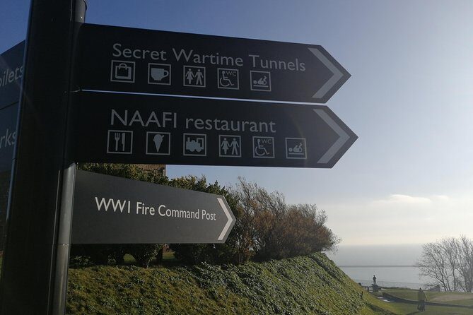 Shore Excursion:Dover Cruise Terminal to London Stopover at Dover & Leeds Castle - Who Would Love This Tour?