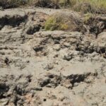 Short boat trip of the Algarve's Ria Formosa lagoon from Faro: 1 hour - Who Will Love This Experience?