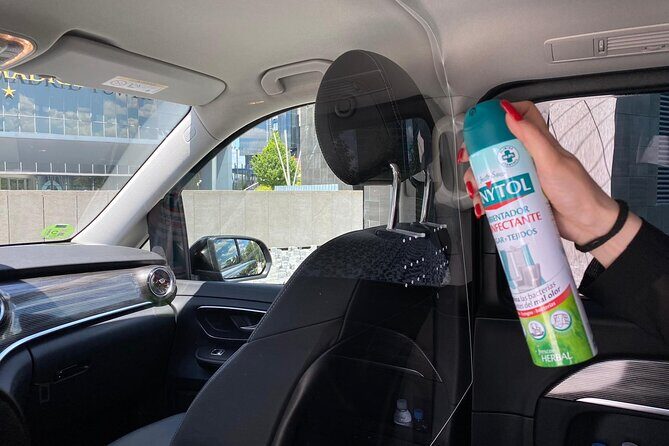 Shuttle Transfer Arrivals: Madrid Airport to City Center - Who Should Consider This Service?