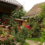 Sibiu Day Trip from Brasov - The Ruins of Carta Monastery