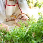 Sicilian Dining Experience with Views in Taormina - Final Thoughts