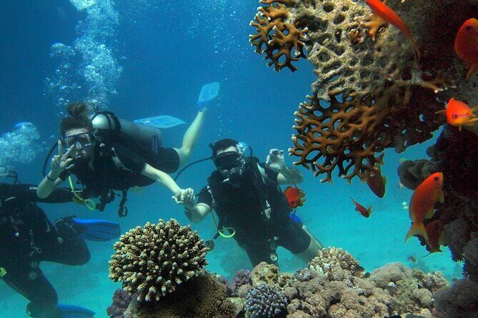 Side Scuba Diving Adventure with Lunch & Roundtrip Transfer - Equipment and Safety