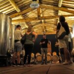 Siena: A Wine Tour and Tasting Experience - The Vineyards and the Cellar Tour