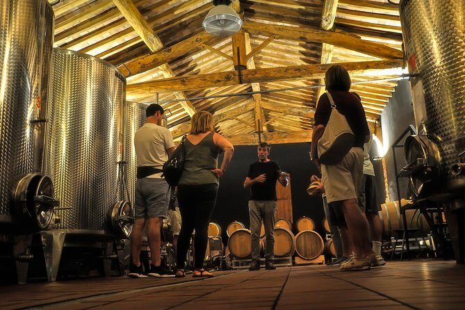 Siena: A Wine Tour and Tasting Experience - The Vineyards and the Cellar Tour