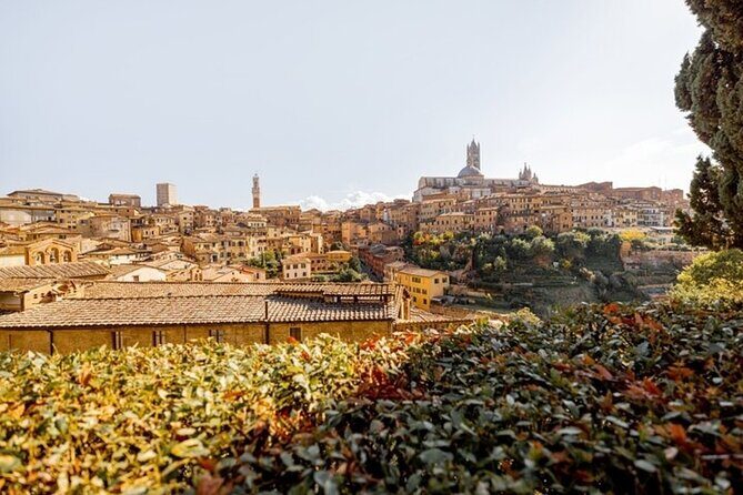 Siena Highlights Private Walking Tour With A Guide (Private Tour) - What You’ll Love About This Tour