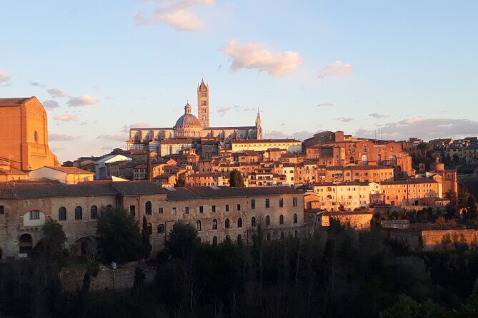 Siena walking tour with lunch & Chianti wine - Itinerary Breakdown: What to Expect Each Step of the Way
