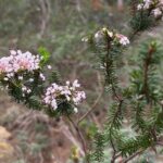 Sierra de Tramuntana hike with transportation and small picnic - Who Will Love This Tour?